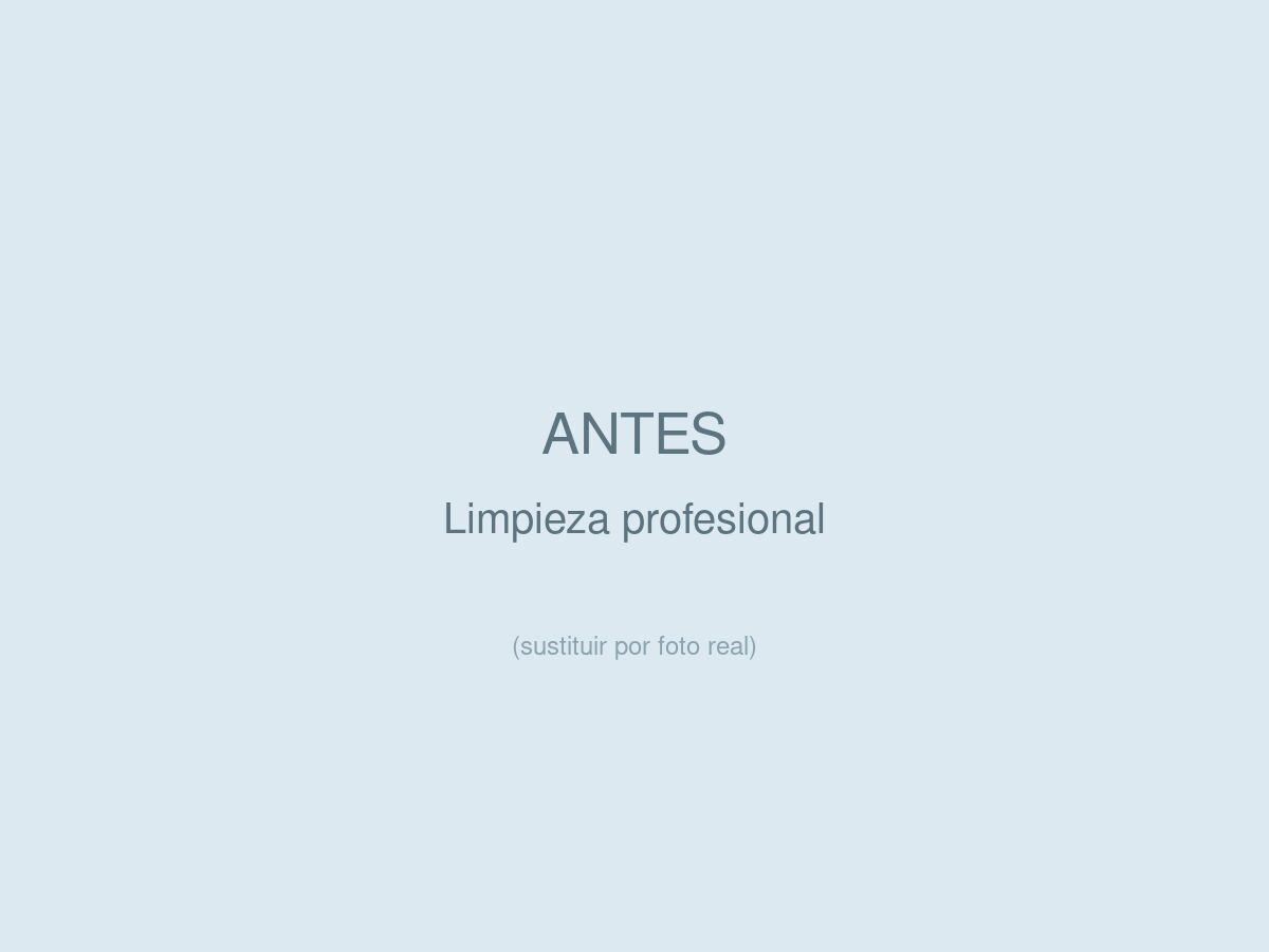 Limpieza Profesional, antes
