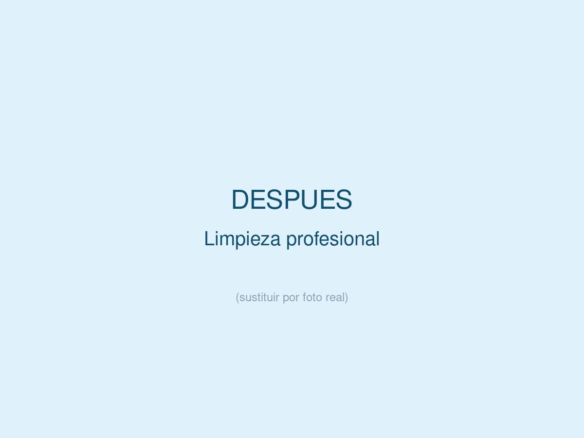 Limpieza Profesional, despu&eacute;s